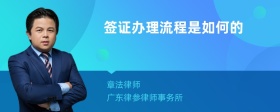 签证办理流程是如何的