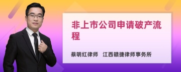 非上市公司申请破产流程