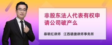 非股东法人代表有权申请公司破产么