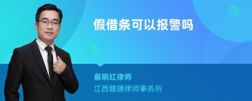 假借条可以报警吗