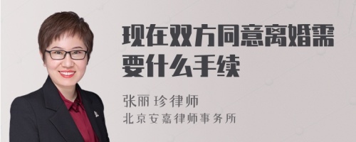 现在双方同意离婚需要什么手续