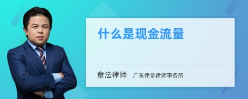 什么是现金流量