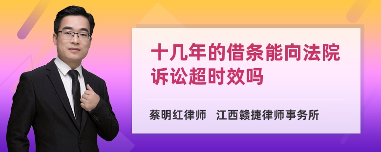 十几年的借条能向法院诉讼超时效吗