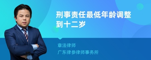 刑事责任最低年龄调整到十二岁