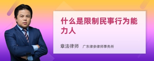 什么是限制民事行为能力人