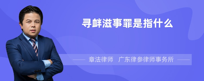 寻衅滋事罪是指什么