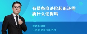 有借条向法院起诉还需要什么证据吗