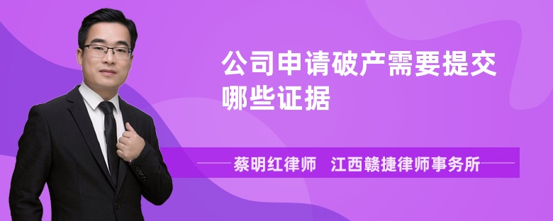 公司申请破产需要提交哪些证据