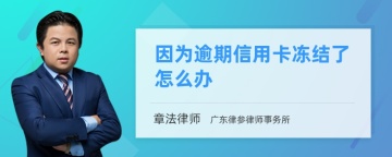 因为逾期信用卡冻结了怎么办