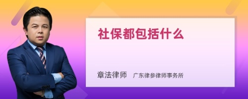 社保都包括什么