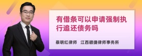 有借条可以申请强制执行追还债务吗