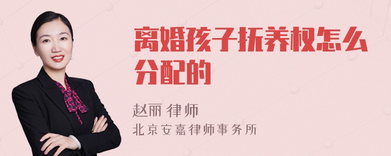 离婚孩子抚养权怎么分配的