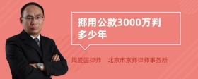 挪用公款3000万判多少年