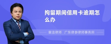 拘留期间信用卡逾期怎么办