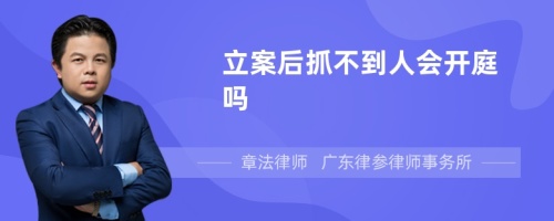 立案后抓不到人会开庭吗