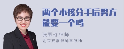 两个小孩分手后男方能要一个吗