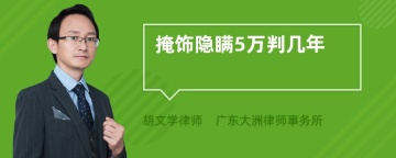 掩饰隐瞒5万判几年