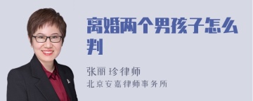 离婚两个男孩子怎么判