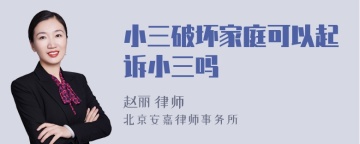 小三破坏家庭可以起诉小三吗