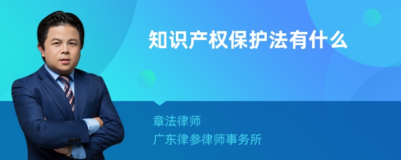 知识产权保护法有什么