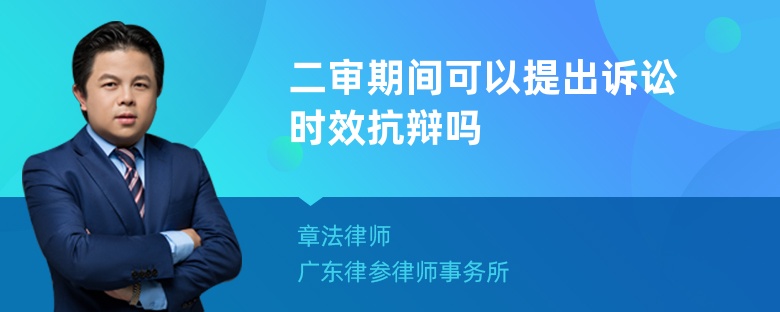 二审期间可以提出诉讼时效抗辩吗