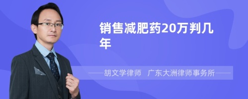 销售减肥药20万判几年