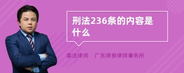 刑法236条的内容是什么