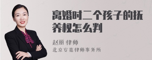 离婚时二个孩子的抚养权怎么判