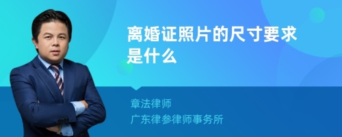 离婚证照片的尺寸要求是什么