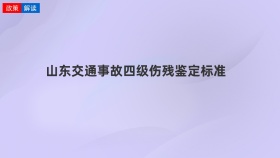山东交通事故四级伤残鉴定标准