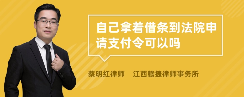 自己拿着借条到法院申请支付令可以吗