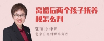 离婚后两个孩子抚养权怎么判