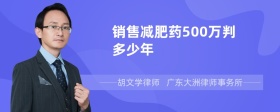 销售减肥药500万判多少年