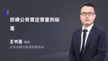 妨碍公务罪定罪量刑标准