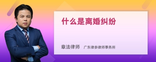 什么是离婚纠纷