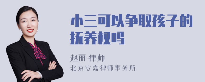 小三可以争取孩子的抚养权吗