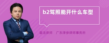 b2驾照能开什么车型