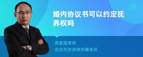 婚内协议书可以约定抚养权吗