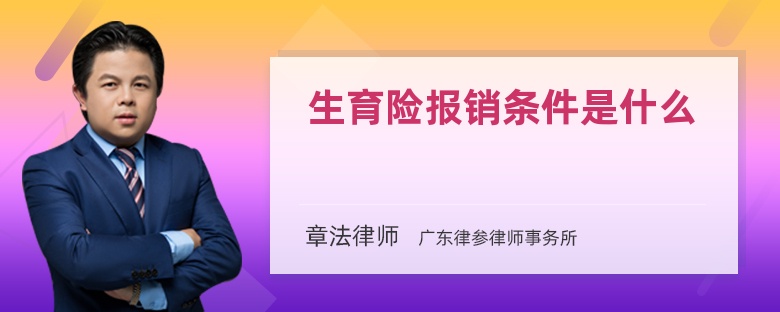 生育险报销条件是什么