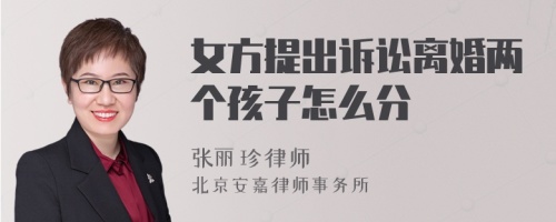 女方提出诉讼离婚两个孩子怎么分