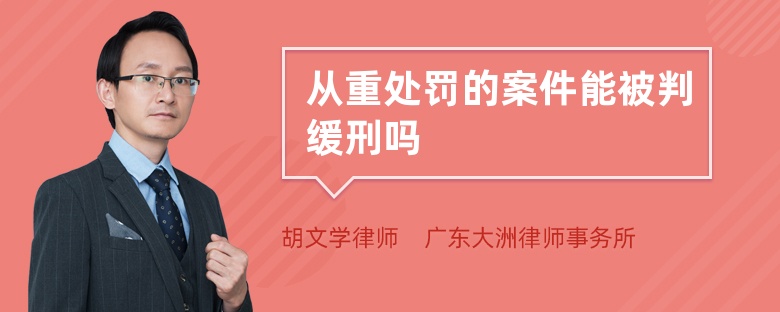 从重处罚的案件能被判缓刑吗