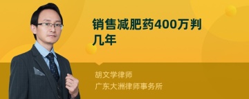 销售减肥药400万判几年