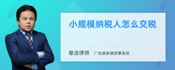 小规模纳税人怎么交税