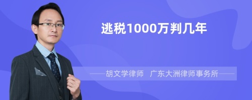 逃税1000万判几年