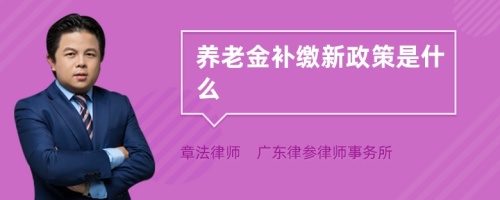 养老金补缴新政策是什么