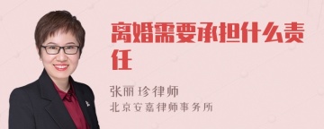 离婚需要承担什么责任