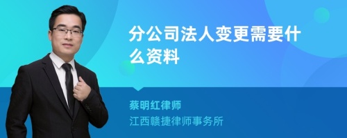 分公司法人变更需要什么资料