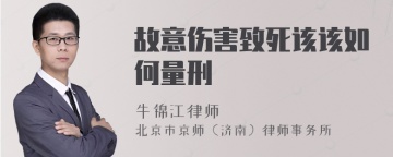 故意伤害致死该该如何量刑