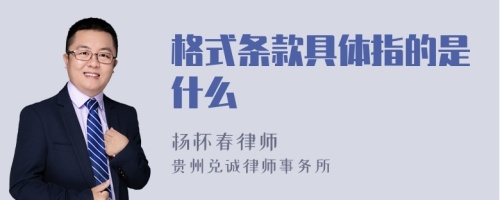 格式条款具体指的是什么