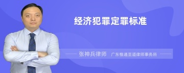 经济犯罪定罪标准